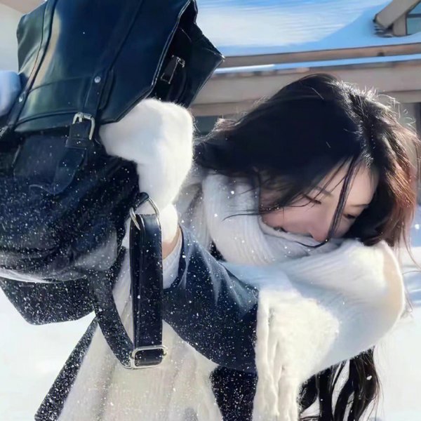 窈窕淑男的日记